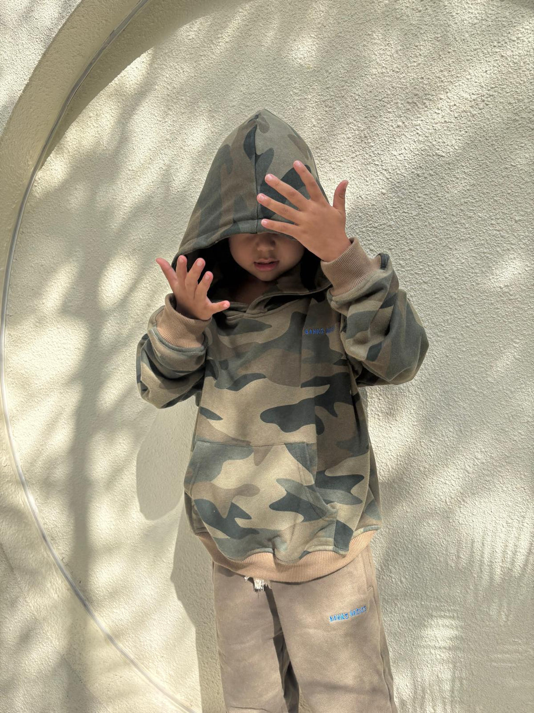 Banks Hoodie - Camo